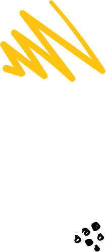 xx